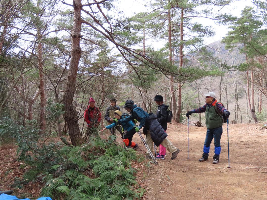 メープル部会(8)タンク回収