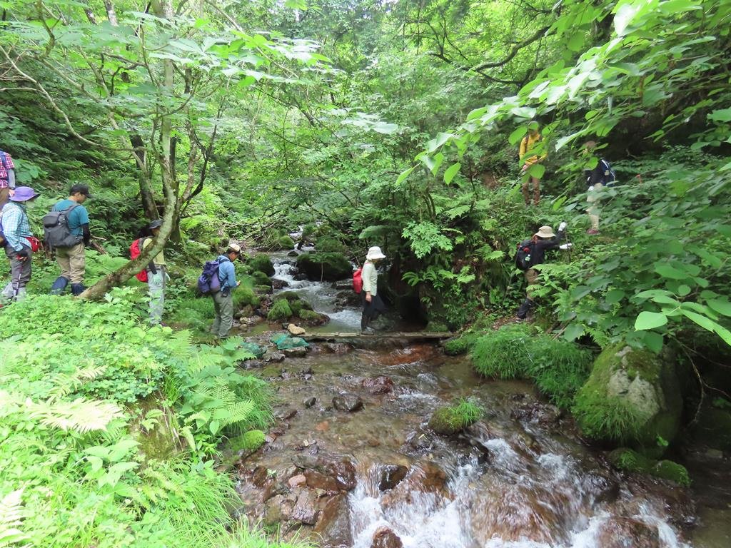 土倉の森秘境トレッキング巨木と鉱山③