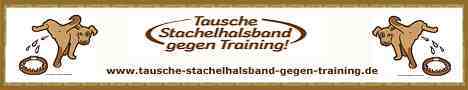 Stachelhalsband