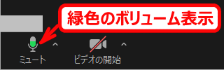 zm05_41:緑色のボリューム表示