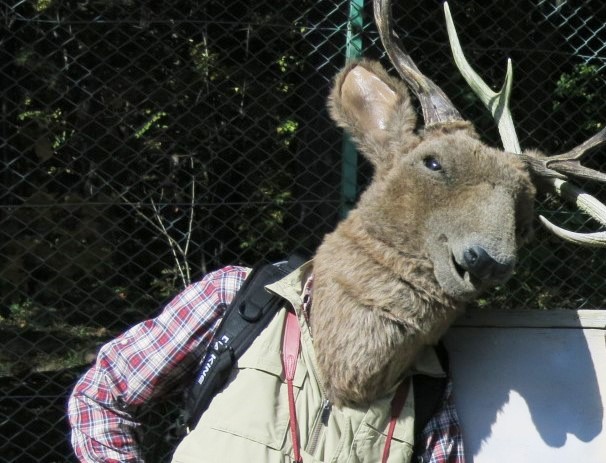 なかよし動物園