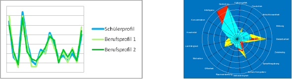 Beispielhafte Skizze - Matching (links) & Berufsprofil (rechts)