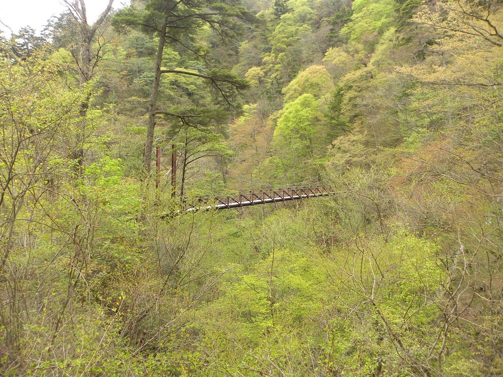 大滝を見る吊り橋