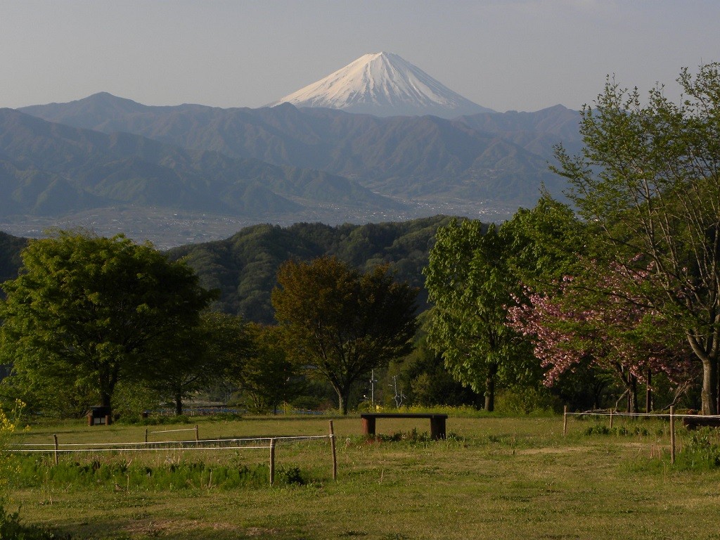 ホテルの前に分から見た富士山