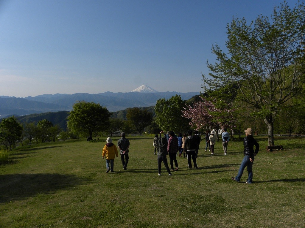 朝の散策している参加者と富士山