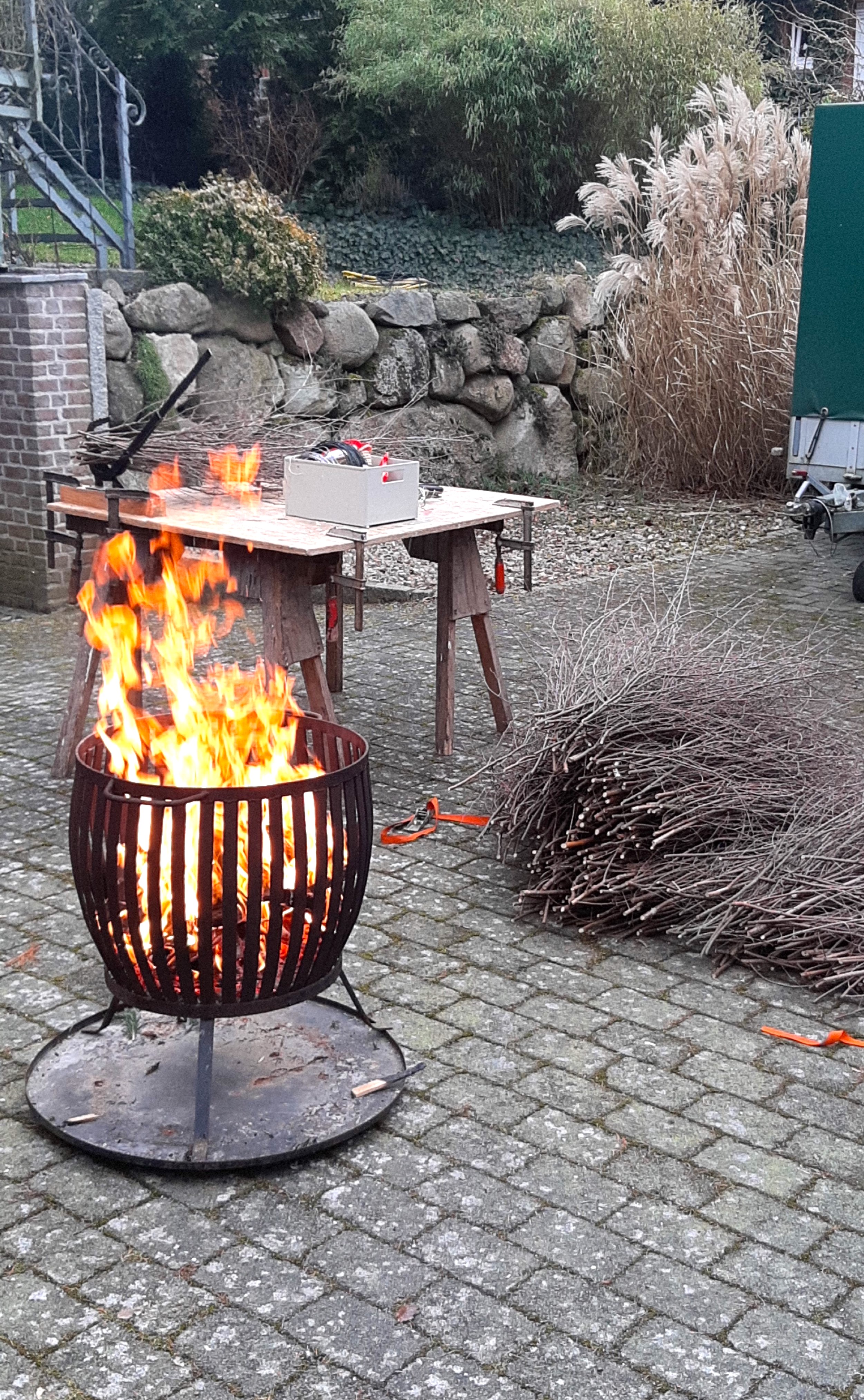 Hexenbesenstil entrindet und geflammt
