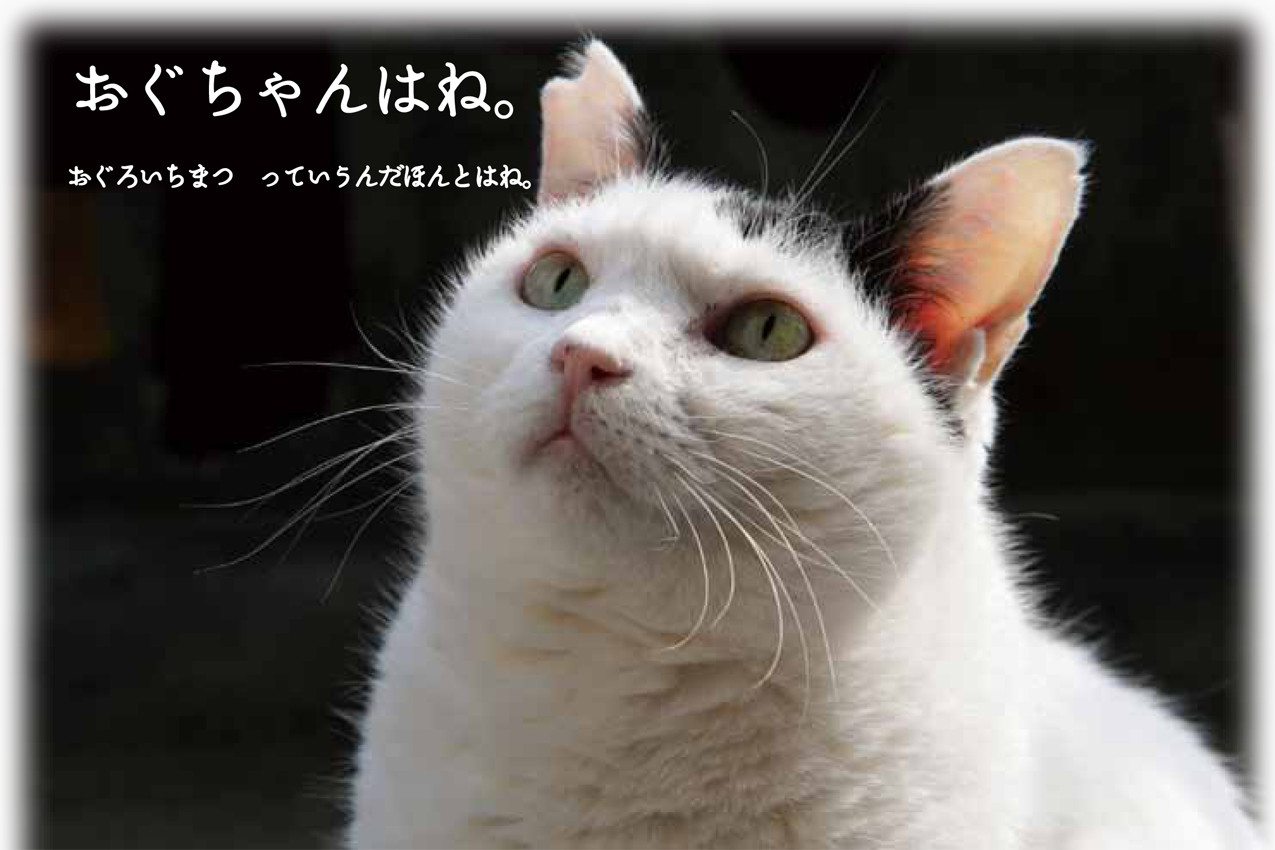 14 5 お家に入ってもらいました Dot Tails 14 5 お家に入ってもらいました Dot Tails