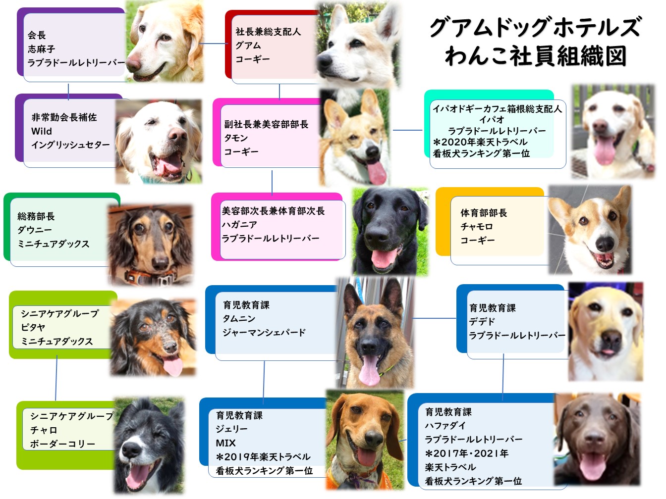 箱根強羅グアムドッグ公式ホームページ グアムドッグキャスト Cast 看板犬ご紹介 箱根強羅グアムドッグ本店公式サイト 神奈川箱根 犬と一緒に寝れる 旅館 ペット 温泉 箱根強羅グアムドッグ公式ホームページ グアムドッグキャスト Cast 看板犬ご紹介 箱根強羅グアムドッグ本店公式サイト 神奈川箱根 犬と一緒に寝れる 旅館 ペット 温泉