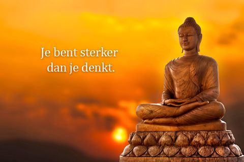 boeddha spreuken! - mindful run nederland. mindfulness