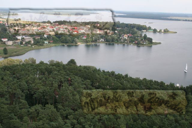 Powidz