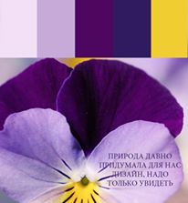 Подбор цвета