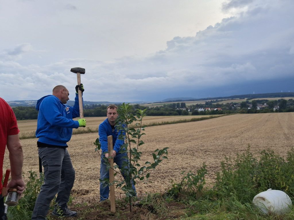 Vorsicht: Stützpfosten setzen
