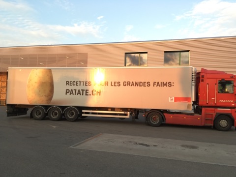 RENAULT MAGNUM 500 Traveco Steffenris