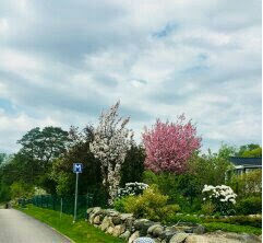 kamiasou ページ！