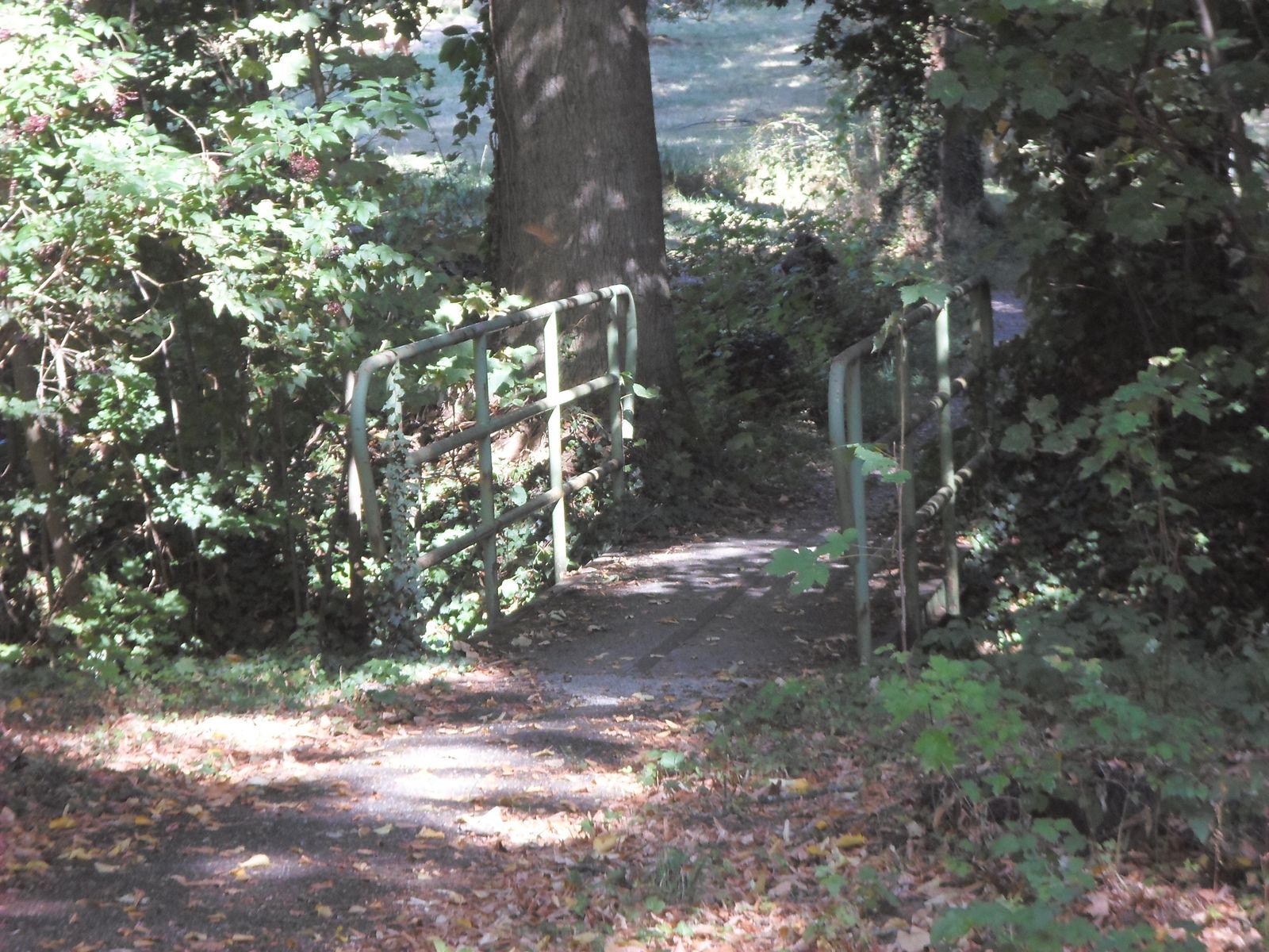 petit pont à traverser