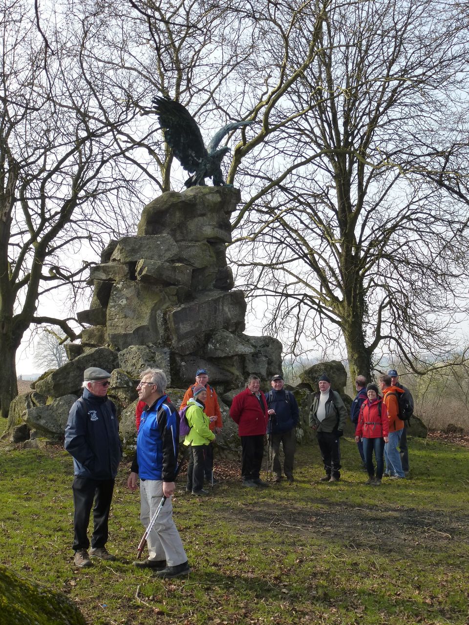 Aigle de Morsbronn