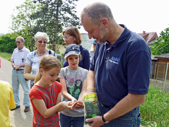 Markus Winterstein, NABU Wiesloch erklärt den Kindern den Nutzen der Phazielie (Bienenfreund) und verteilt Samen zum Ausstreuen.