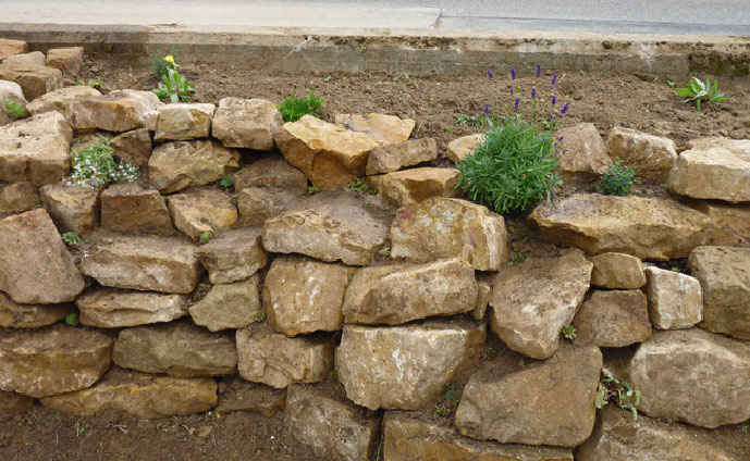 Die fertig bepflanzte Mauer