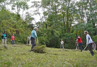 NABU-Gruppe bei der Biotoppflege, Foto: A. Treffer