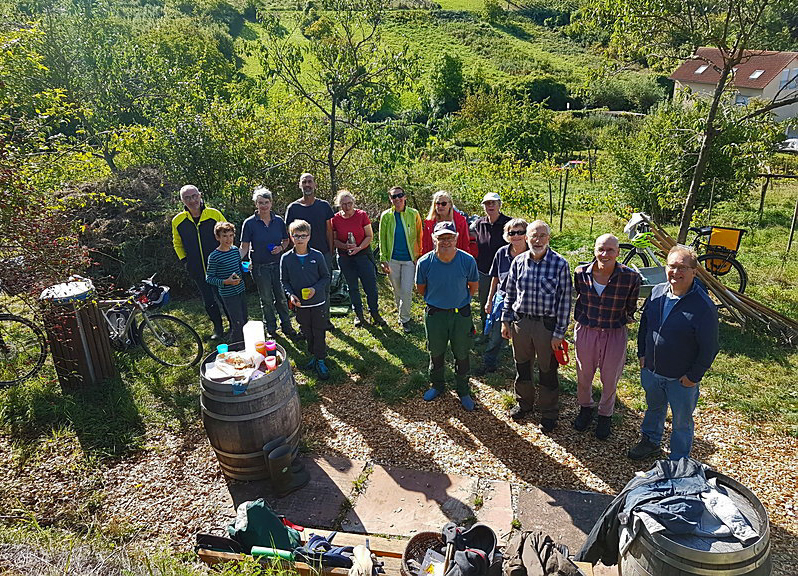 Pflegetermin im historischen Weinberg, Rauenberg im September