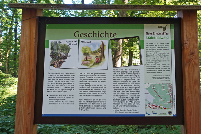 NaturErlebnisPfad Dämmelwald, Tafel "Geschichte", Foto: A. Treffer