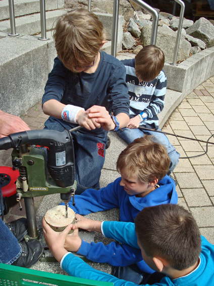 Baumscheiben werden gebohrt  (Durchmesser 2-10mm).