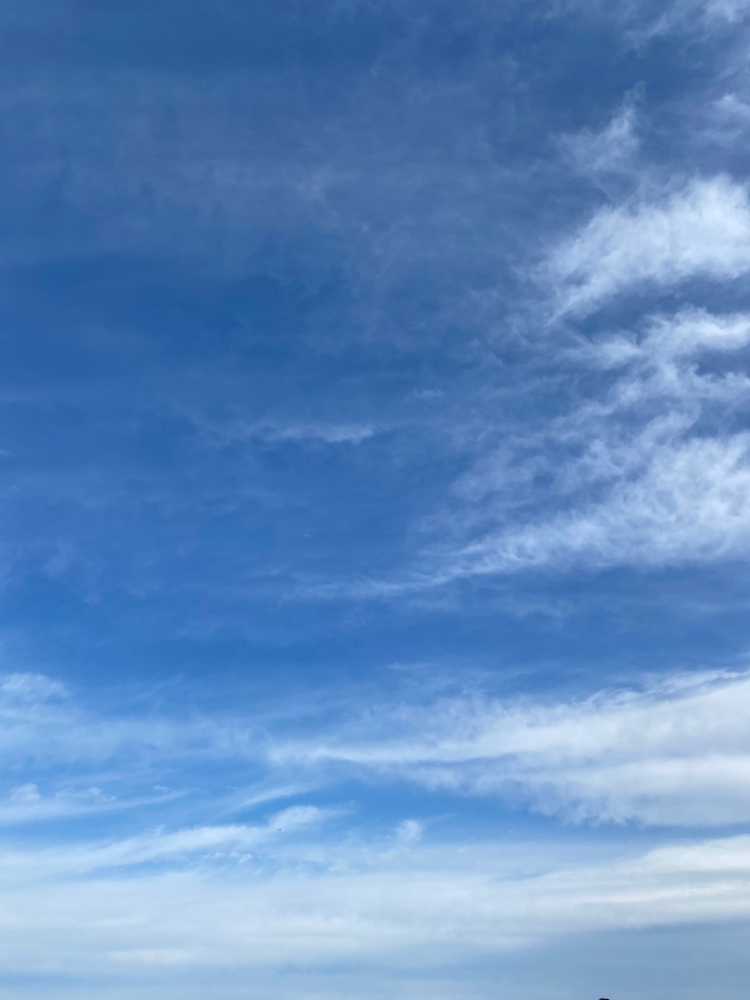 秋の空♪ 気持ち良い(^^)