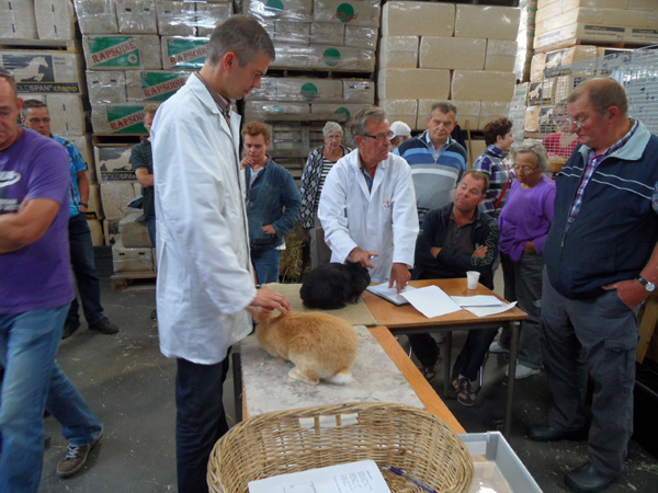 keuring op jongdierendag