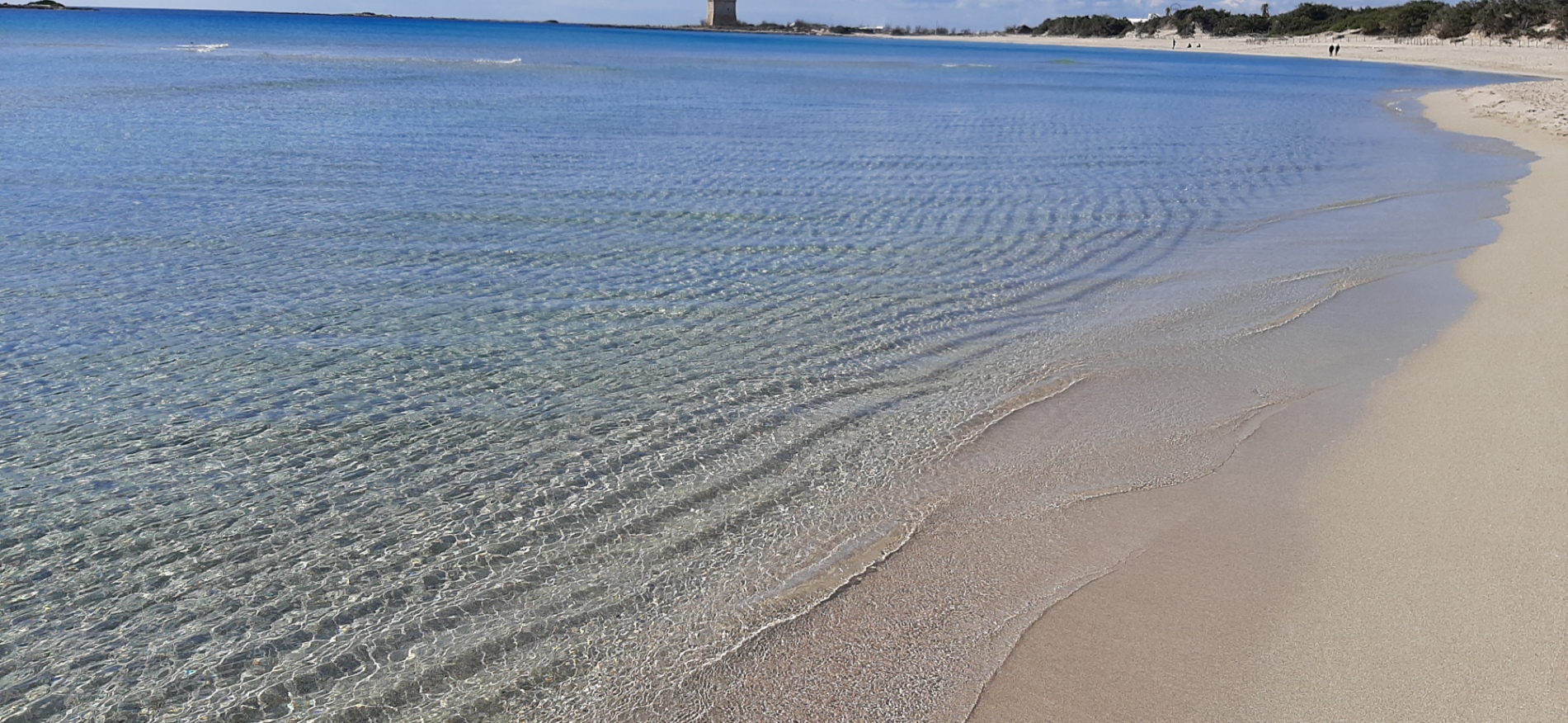 Spiaggia sabbiosa 