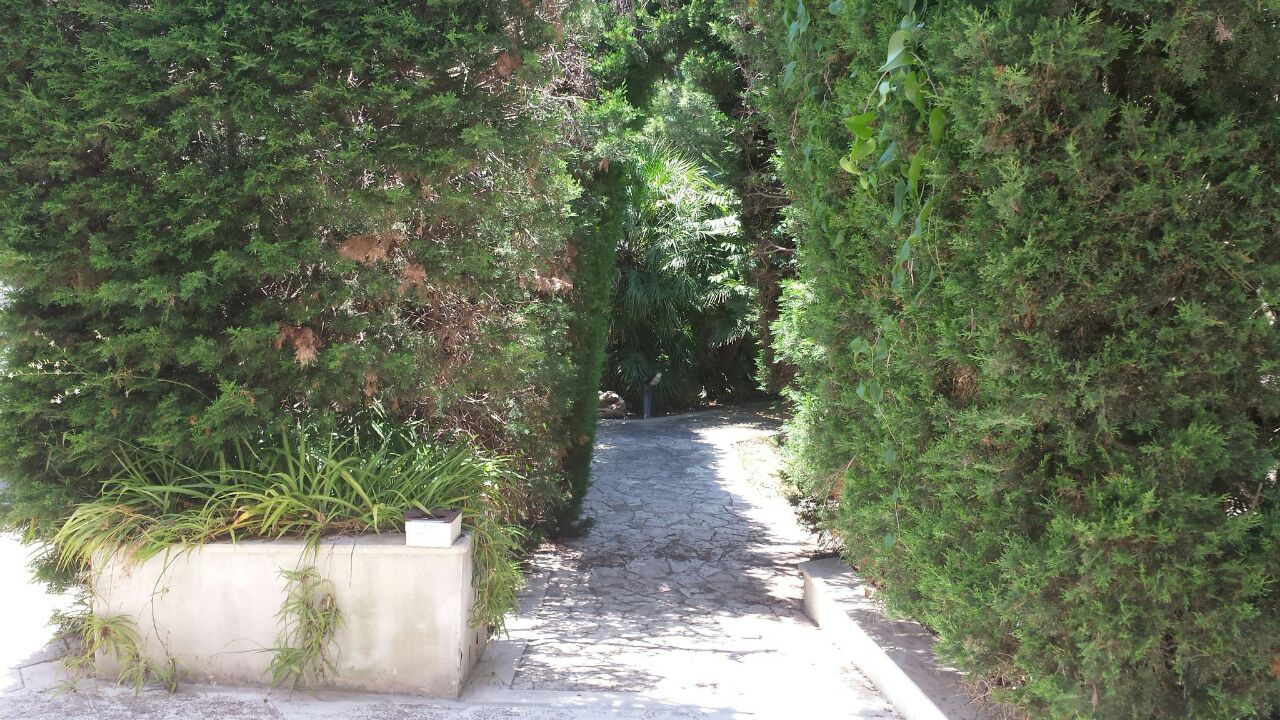 Ingresso giardino (in comune con tutti gli appartamenti)