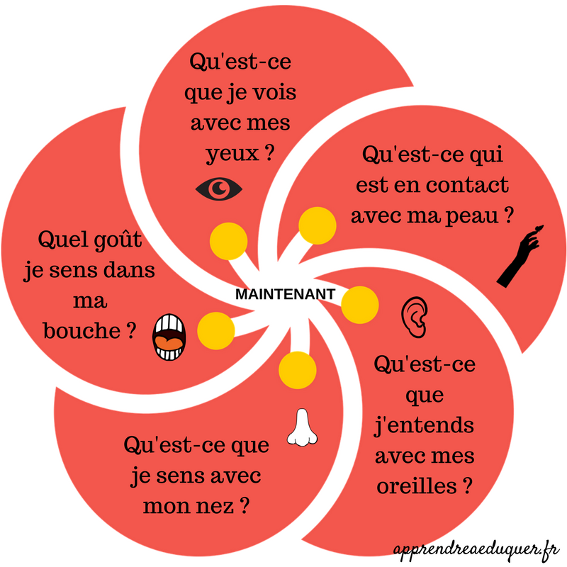 2. La Pleine Conscience