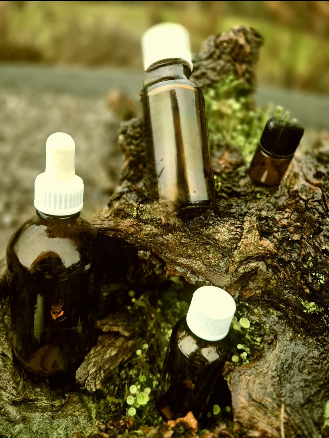 Aromaöle im Alltag
