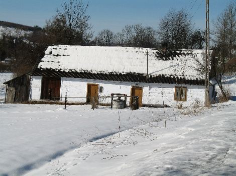 Tradycyjny dom w Wojtkowej. Stan na 2008 rok.