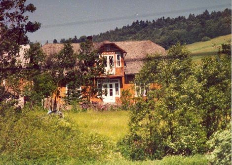 Ciekawy architektonicznie dom w Nowosielcach Kozickich. Stan na 2001 rok.