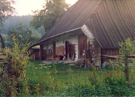 Tradycyjny dom w Nowosielcach Kozickich, nawiązujący do budownictwa bojkowskiego.  Czterospadowy dach, niegdyś kryty kiczką. Stan na 2002 rok.