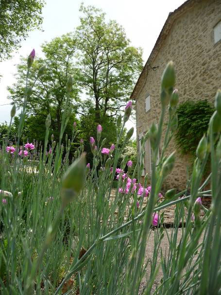 Gîte Ruch-maison de caractère