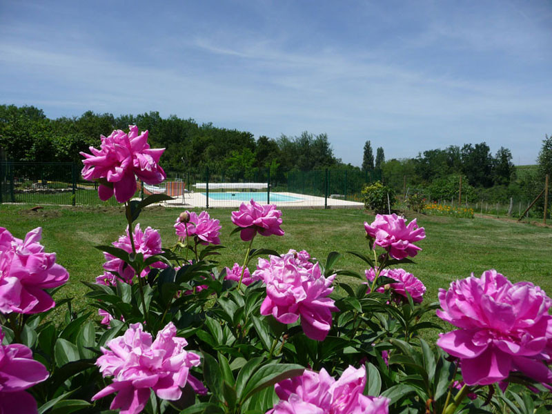 Gîte l'Estebot  Ruch Gironde-piscine