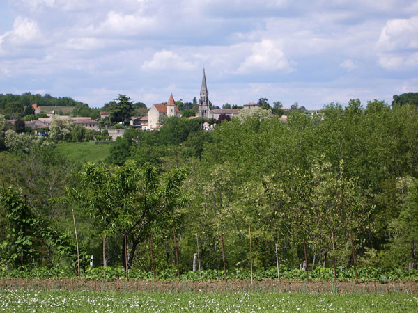 Village Ruch près de Saint-Emilion