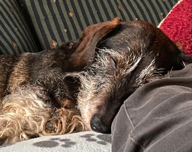 Kalle (Aramis): Erstmal "chillen", dann eventuell...