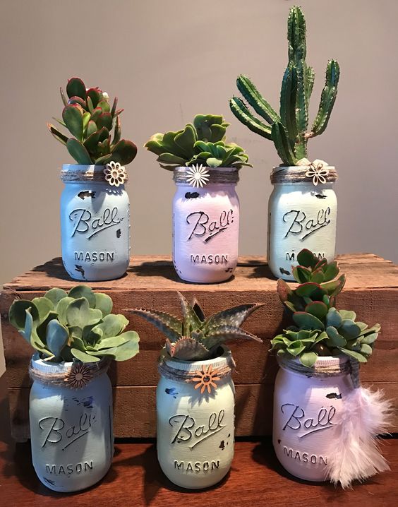 mason jars with cactus