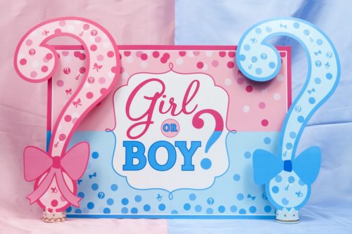 baby shower y el gender party