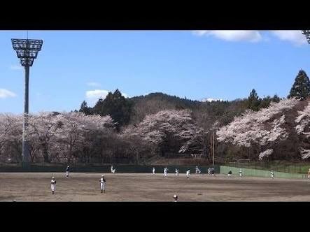 御殿山公園 野球場