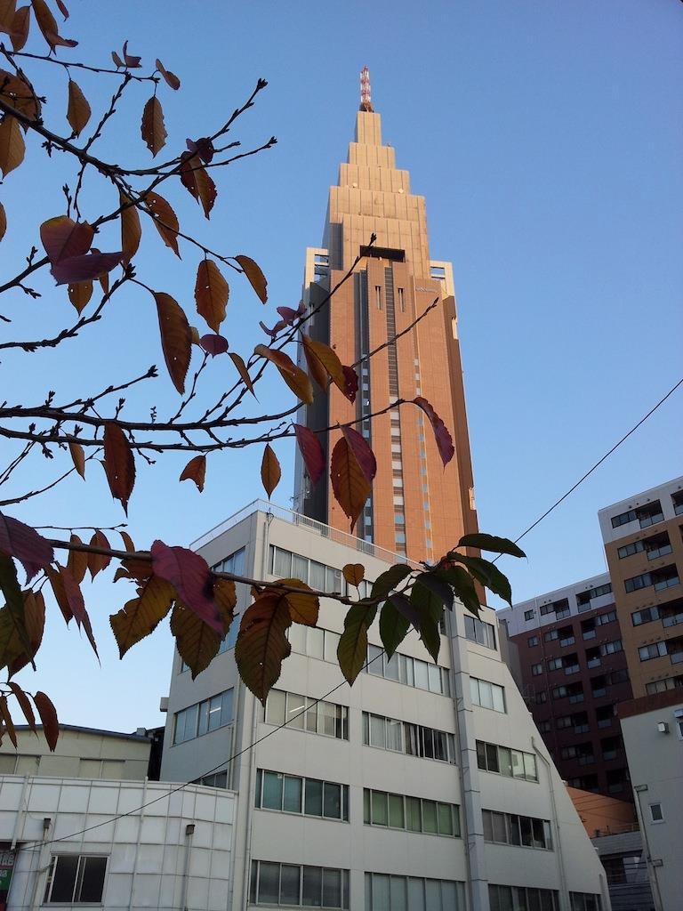 足の親指の爪を切り過ぎちまってよぉ、クツ履いて歩くと痛いんだよ、これが！　【2013年12月2日】