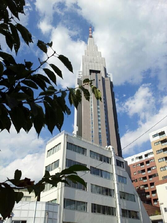 夏だよ、夏！┐('～`;)┌　【2013年10月12日】