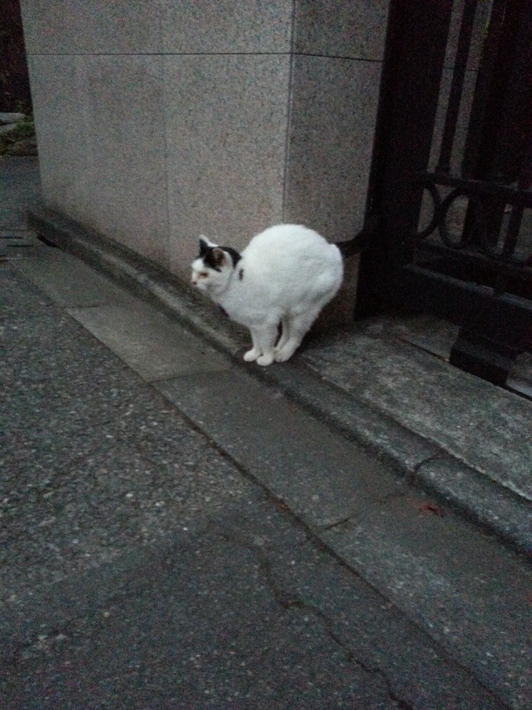 うぅぅ～寒っ！　【2014年12月8日】