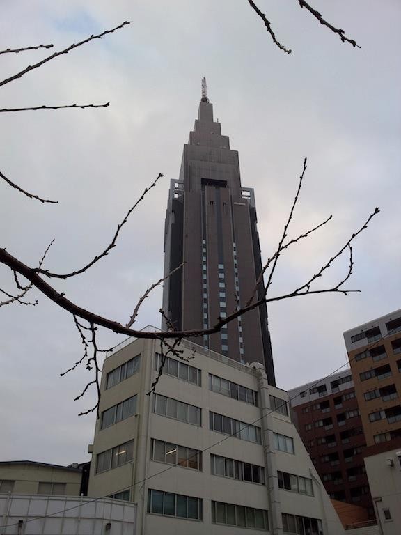 今は雲っていまつが、昼前から夕方は晴れるってよ。　【2013年1月24日】