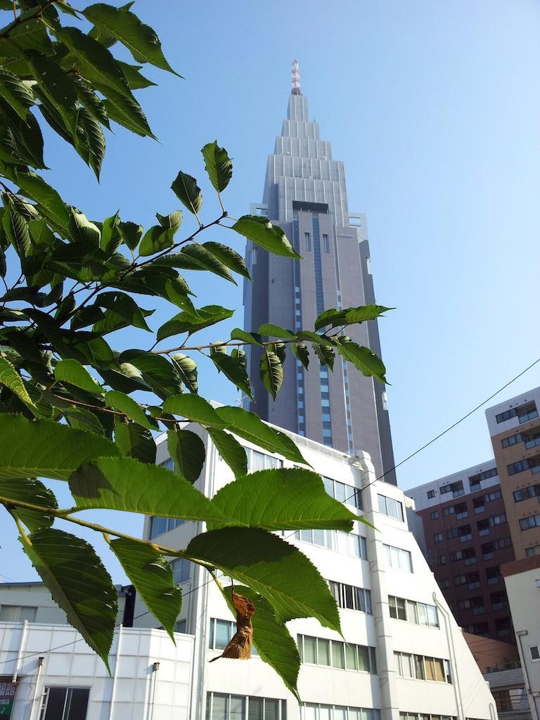 さすが千年に一度の猛暑である。朝から汗まみれ。　【2013年7月10日】