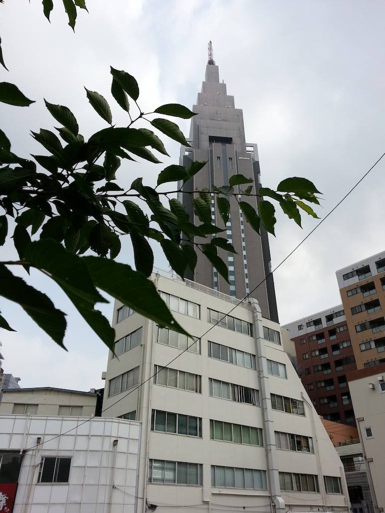 南からの湿った空気の影響で曇りなんだと。　【2014年6月21日】