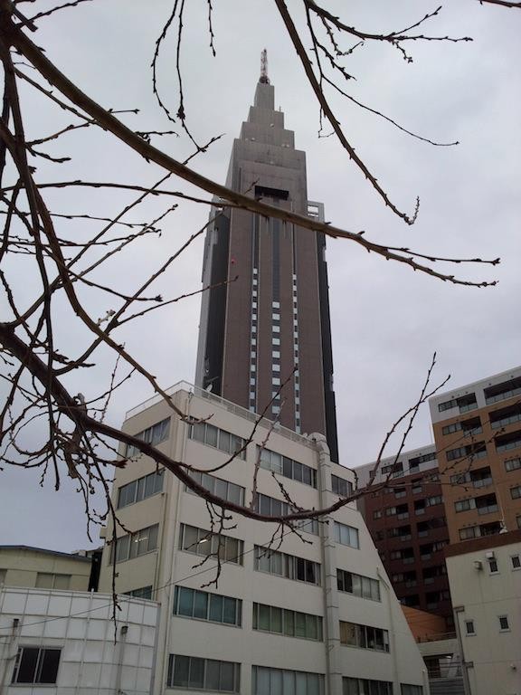 昼過ぎから晴れるらすいが、降りそうな雲行き。　【2013年1月16日】