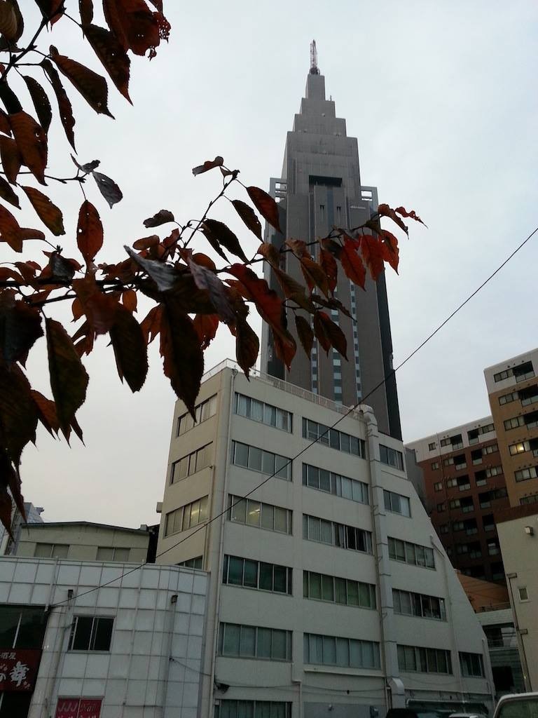 今日の気温、最低と最高の差が１度だって。　【2014年11月25日】